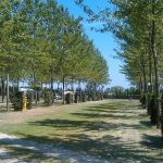 Camping Miramare am Lido (perfekt für die Vogalonga in Venedig)
